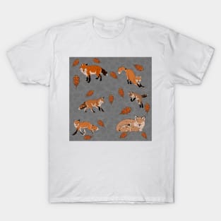 Red Foxes in Grey T-Shirt